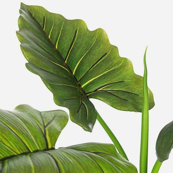 Pianta artificiale Dieffenbachia 7 foglie H 78 cm
