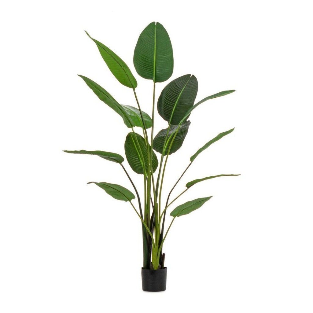 Pianta Artificiale Strelitzia con Vaso 13 Foglie H185 cm