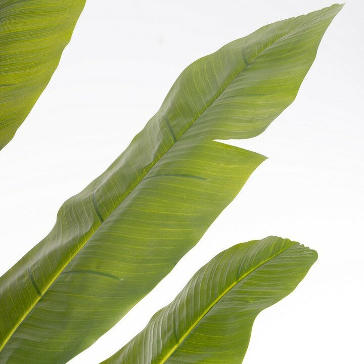 Pianta Artificiale Banano H210 cm con Vaso