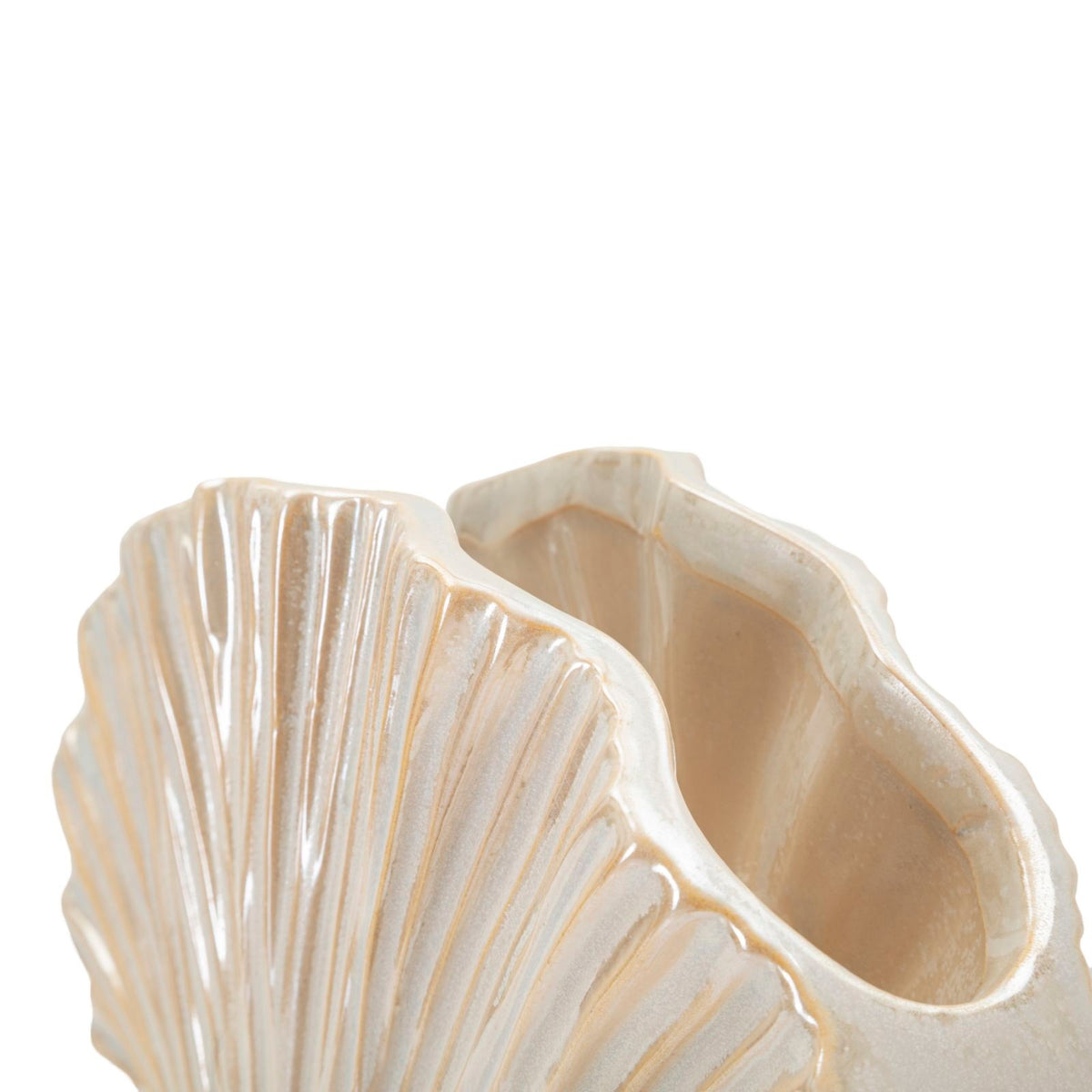 Vaso Decorativo Perly Perlato 27x8x19 cm Design a Ventaglio Elegante