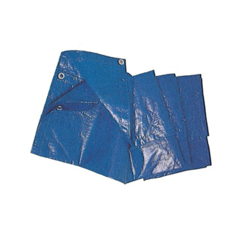C TELO OCCHIELLATO PE BLU  4X 5M  85GR