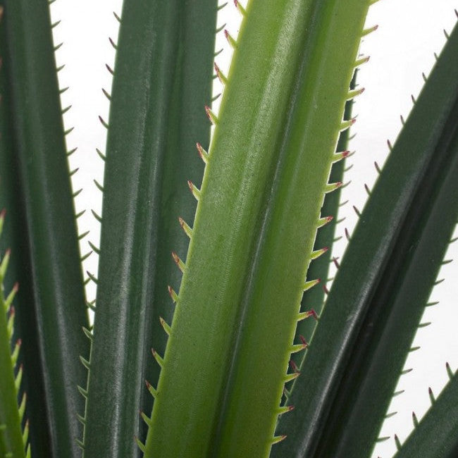 Pianta Decorativa Ruscaceae con Vaso 28 Foglie H90 cm Bizzotto