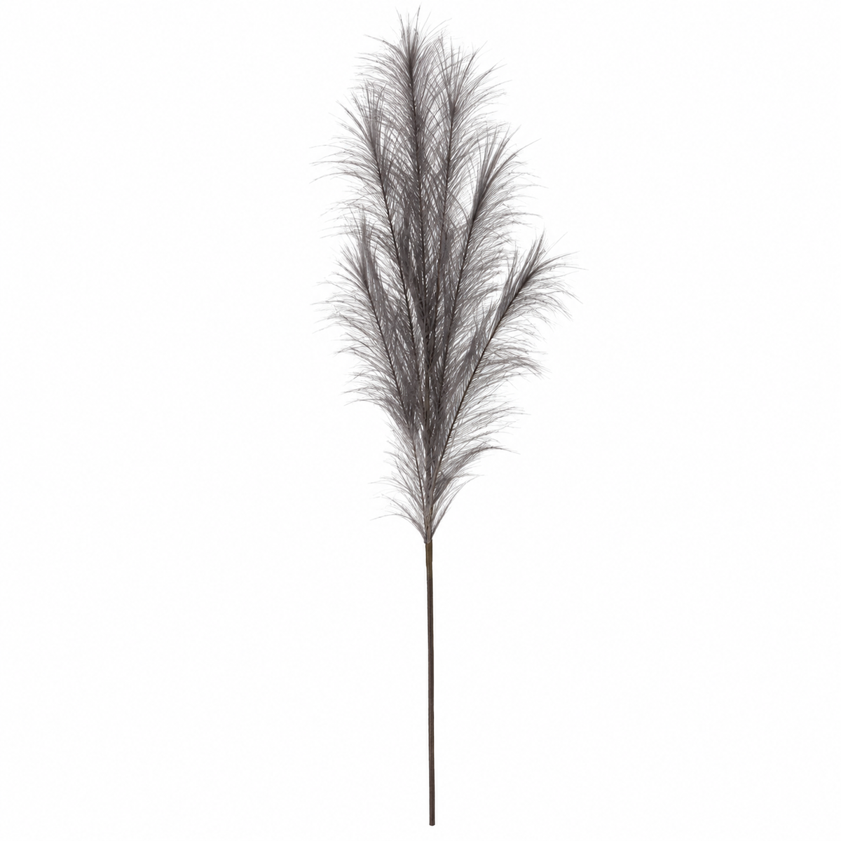 Ramo Pampas Artificiale Nelly Grigio Scuro H100 cm