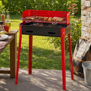 Barbecue a Carbone in Acciaio 30x45 cm con Griglia Regolabile FD