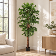 Pianta Ficus Artificiale con Vaso H210 cm 2480 Foglie Decorative