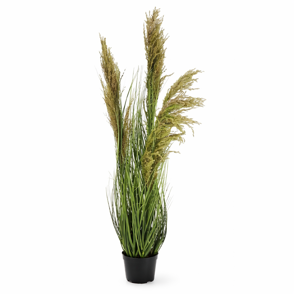Pianta Artificiale Decorativa Pampas Verde con Vaso