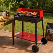 Barbecue a Carbone Flavia 50x35 cm con Ruote e Paravento Regolabile