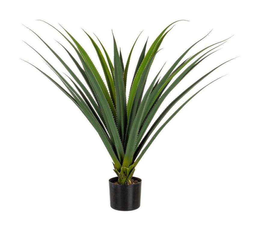 Pianta Decorativa Ruscaceae con Vaso 28 Foglie H90 cm Bizzotto