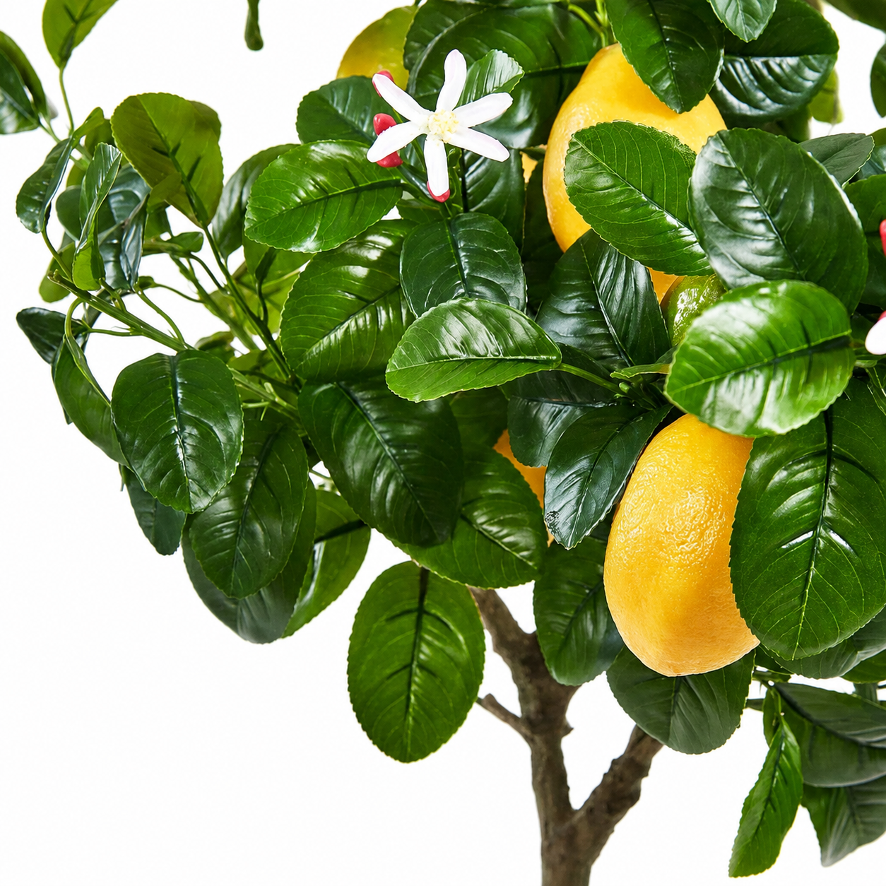 Pianta Artificiale di Limoni Duke con Vaso H 102 cm