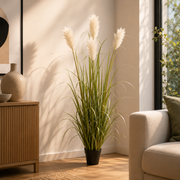 Pianta Pampas Avorio con Vaso H152 cm EDG