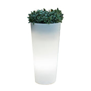VASO SOLARE FICUS LED D 29XH59CM RGB C/TELECOM