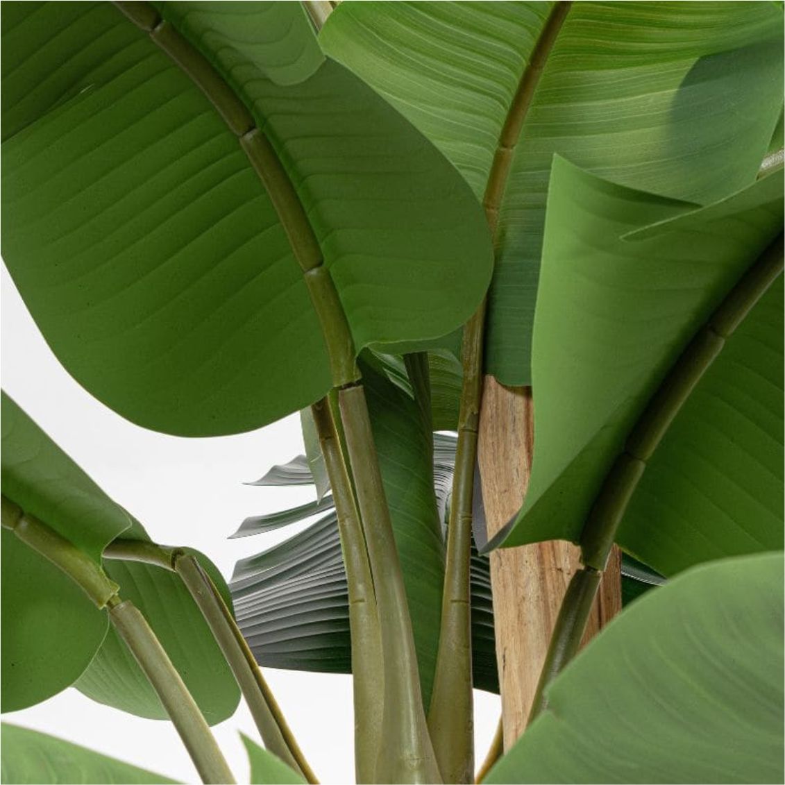 Pianta Artificiale Banano H210 cm con Vaso