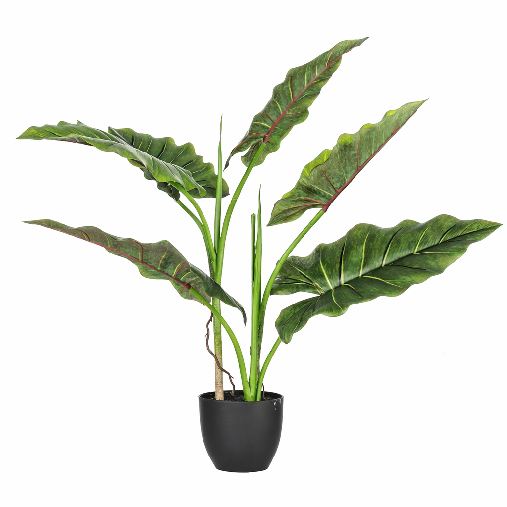 Pianta artificiale Dieffenbachia 7 foglie H 78 cm
