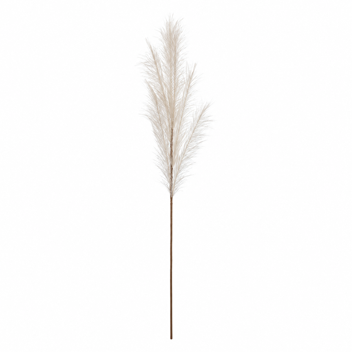 Ramo Pampas Artificiale Sherill Crema Argento H100 cm