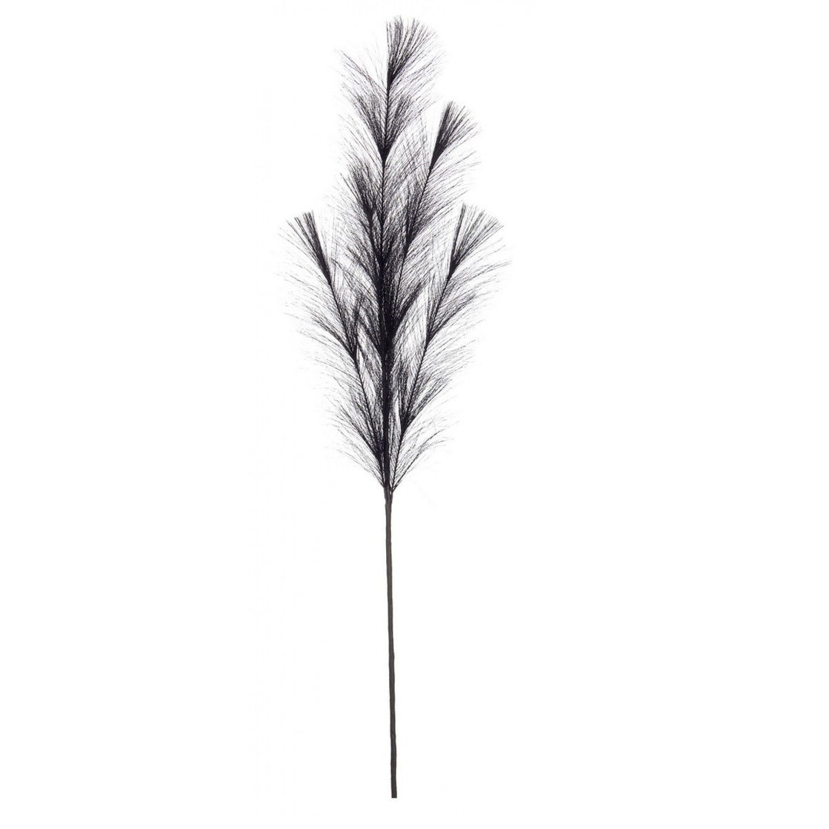 Ramo Pampas Artificiale Nelly Grigio Scuro H100 cm