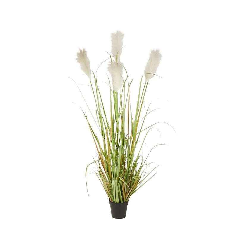 Pianta Pampas Avorio con Vaso H152 cm EDG