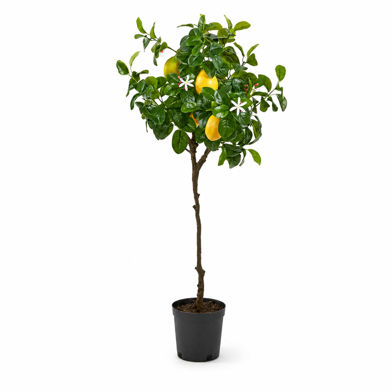Pianta Artificiale di Limoni Duke con Vaso H 102 cm