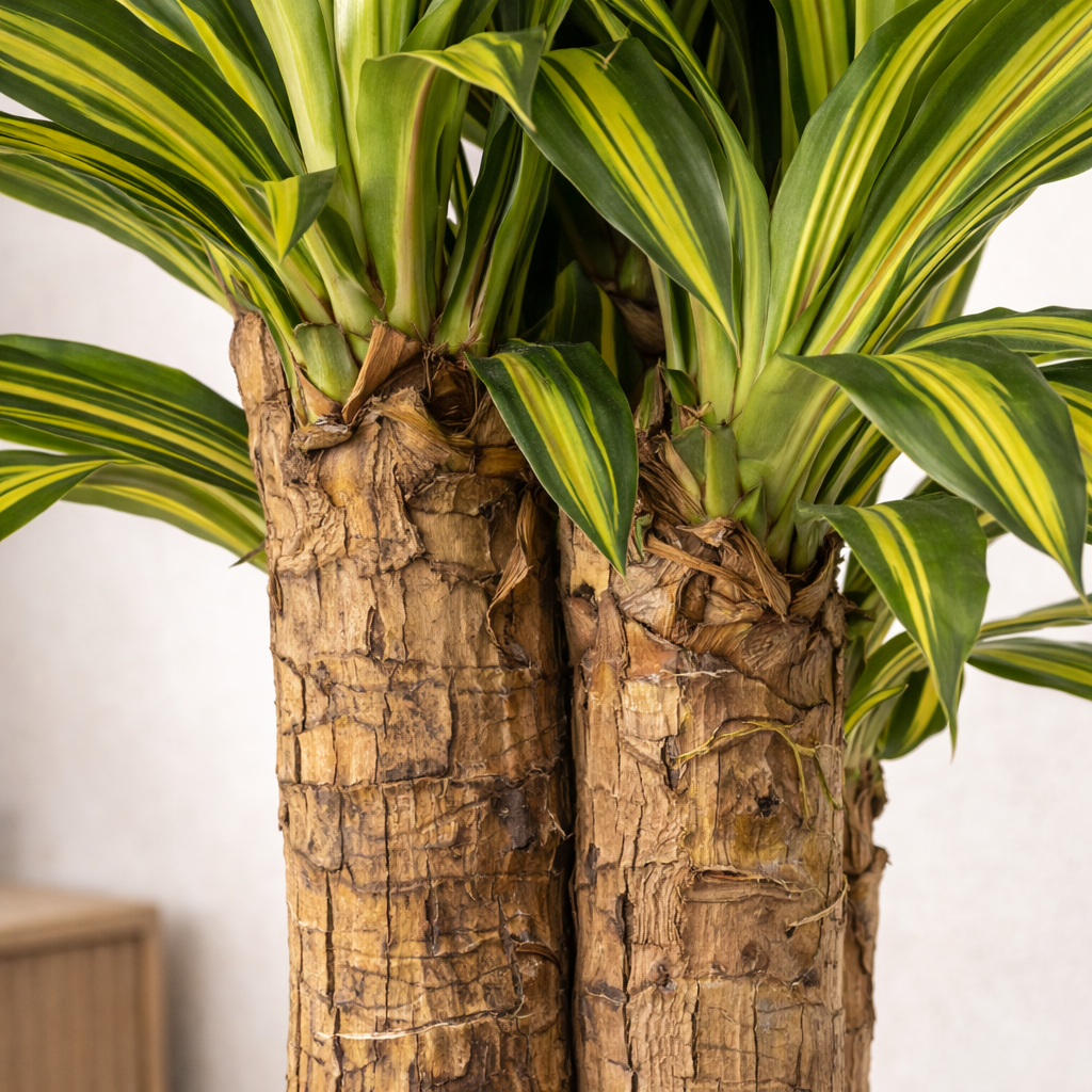 Pianta Dracaena Artificiale 130 cm con Vaso 43 Foglie Decorativo da Interno