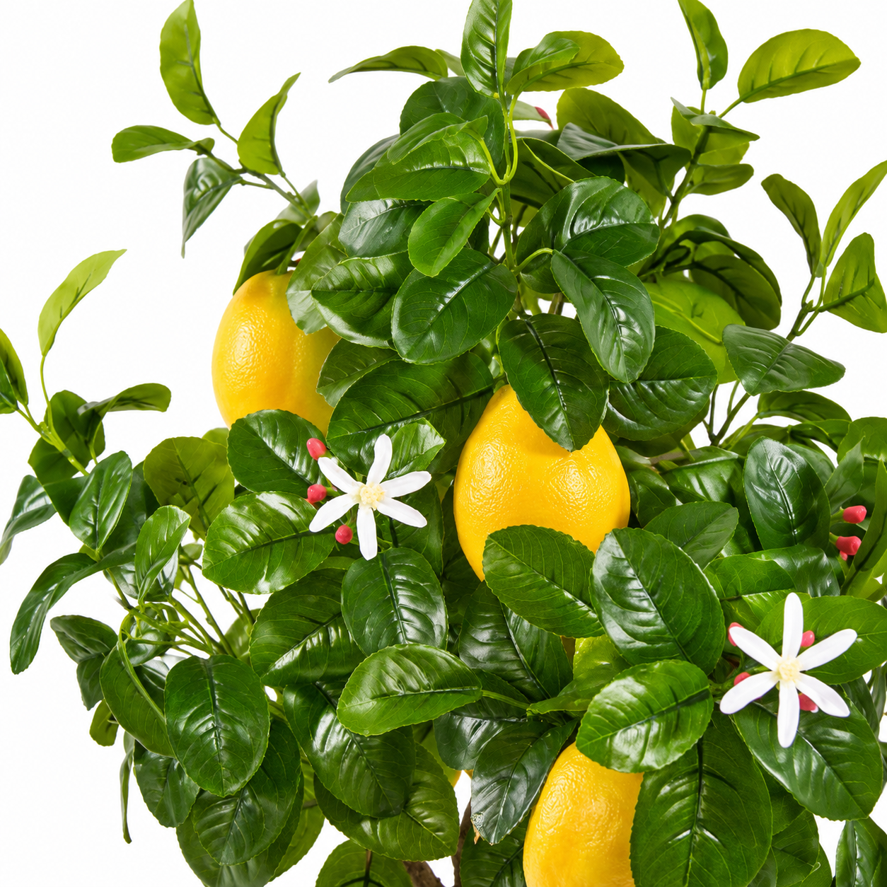Pianta Artificiale di Limoni Duke con Vaso H 102 cm
