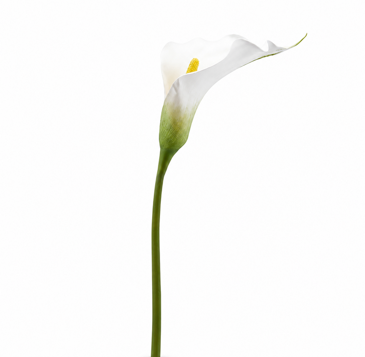 Set 2 Rami di Calla Artificiale Bianca DEA H77 cm Fiori Realistici