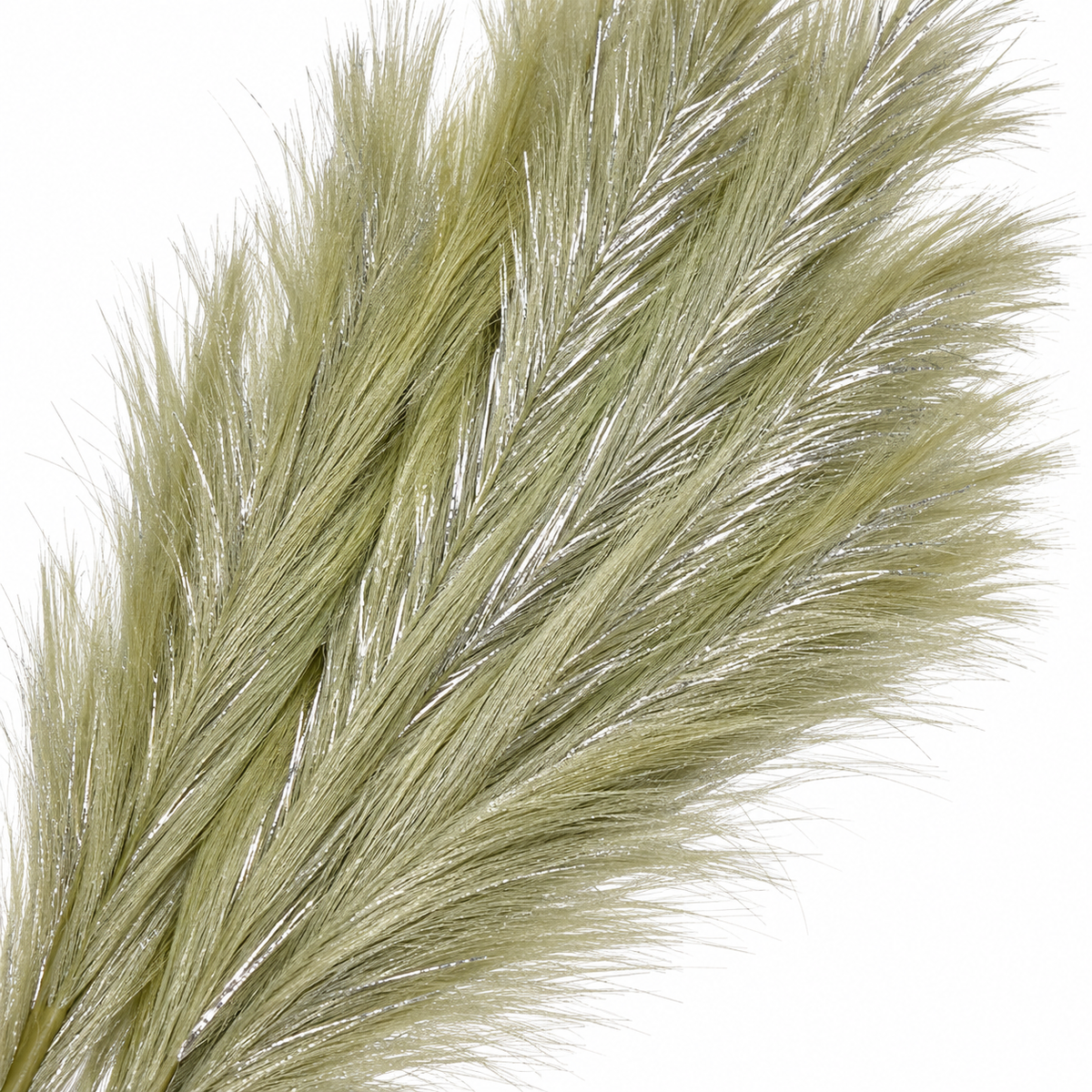 Ramo Pampas Artificiale Sherill Verde Argento H100 cm