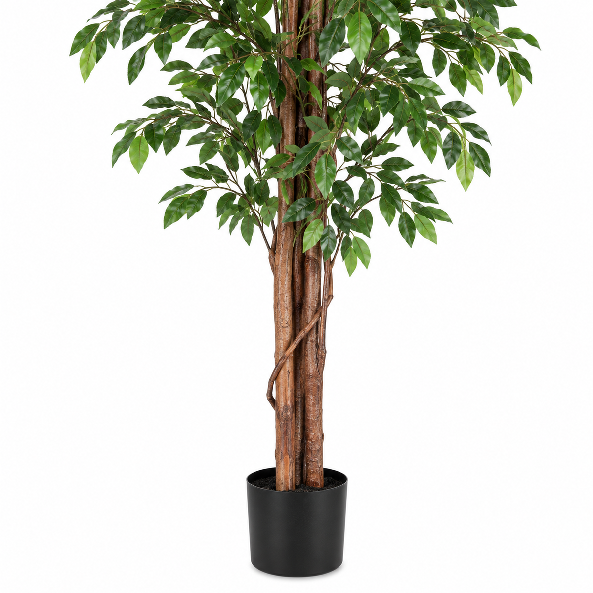Pianta Ficus Artificiale con Vaso H210 cm 2480 Foglie Decorative
