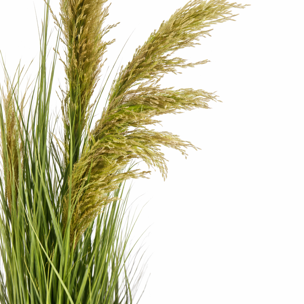 Pianta Artificiale Decorativa Pampas Verde con Vaso