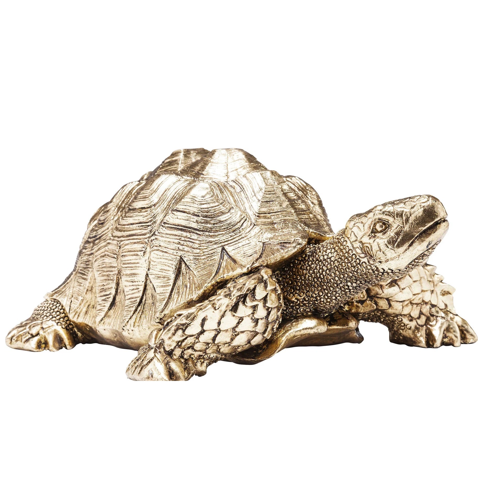 Statuetta Figura Decorativa Tartaruga Turtle Oro h 26cm