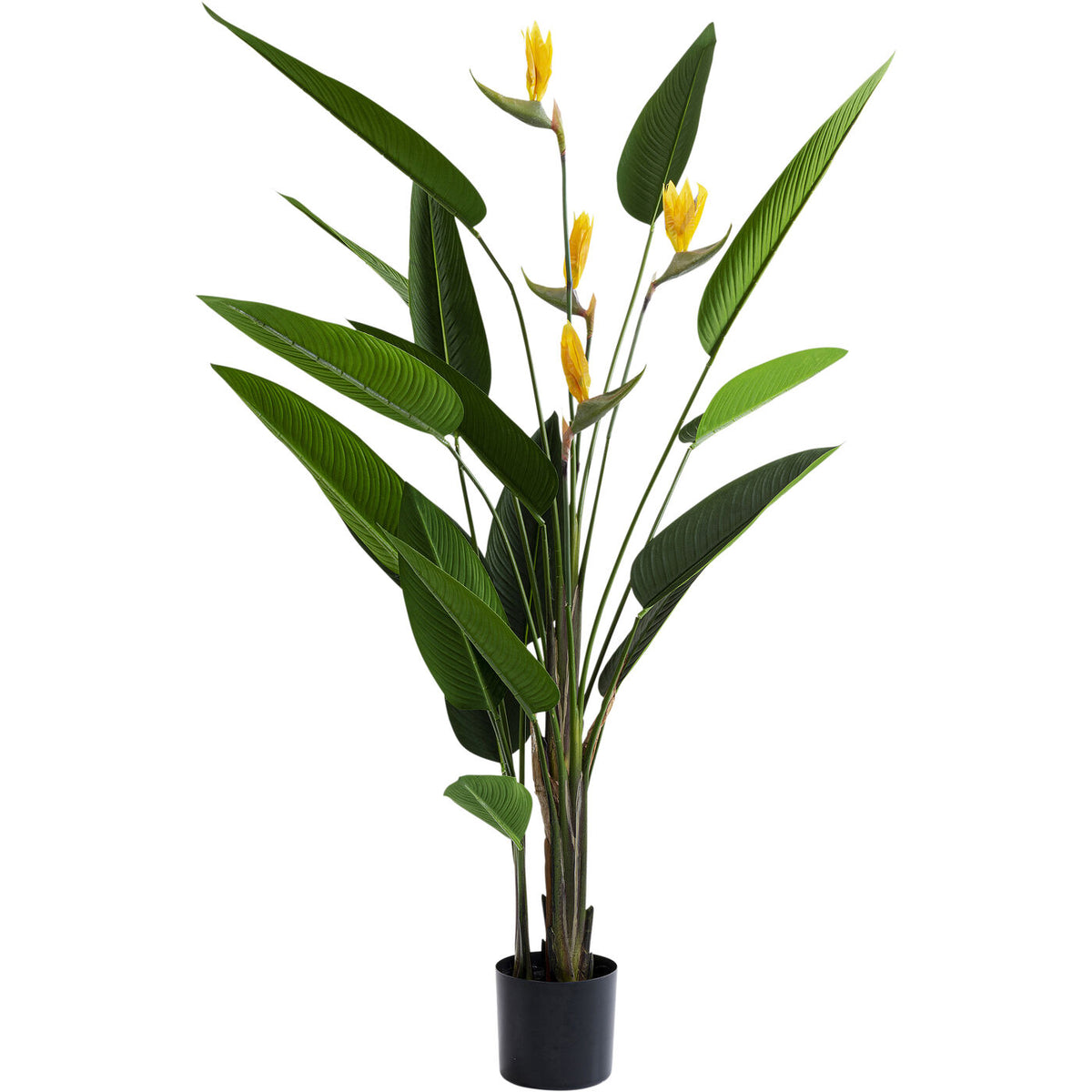 Pianta decorativa Paradise Flowers 190cm