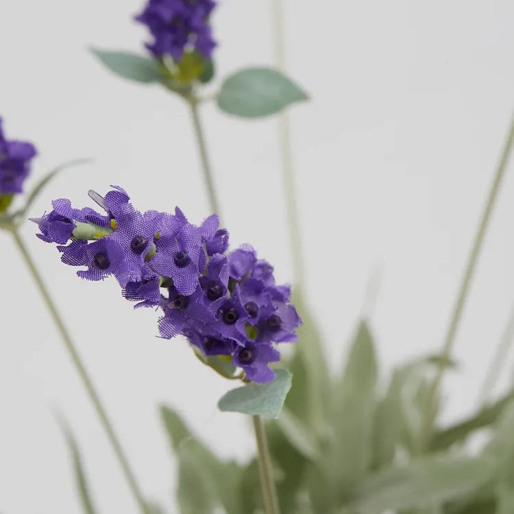 Lavanda Artificiale con 10 Fiori Viola H 52 cm