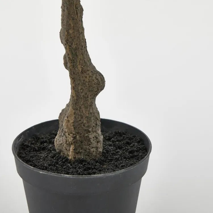 Pianta Artificiale di Limoni Duke con Vaso H 70 cm
