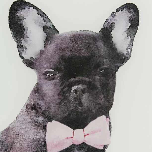 Quadro in vetro Fashion Dog 60x80cm