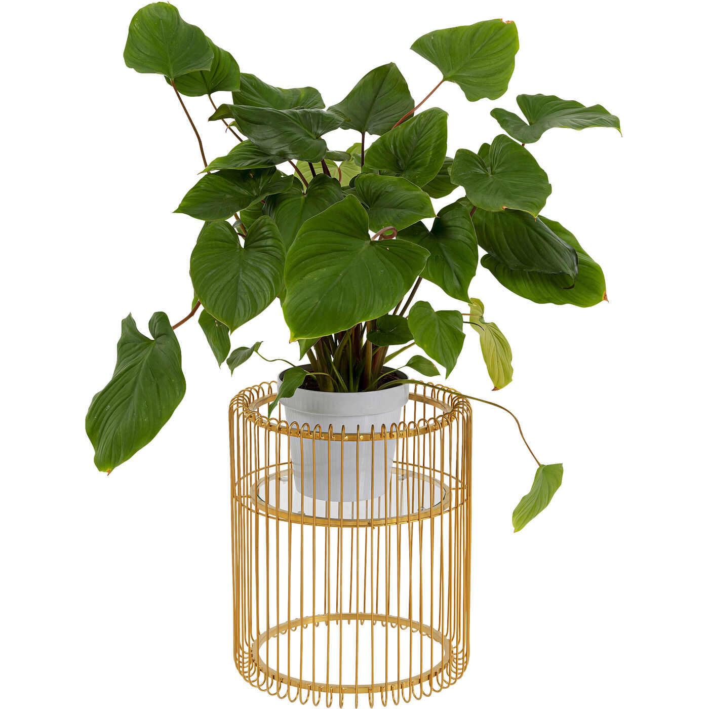 Supporto Portapiante Wire Brass in Metallo Color Oro H 44 cm