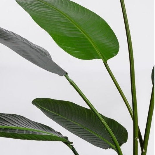 Pianta Artificiale Strelitzia con Vaso 13 Foglie H185 cm