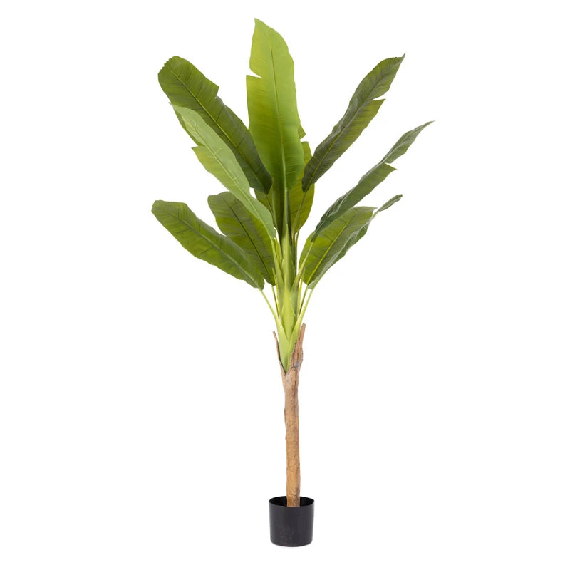 Pianta Artificiale Banano H210 cm con Vaso